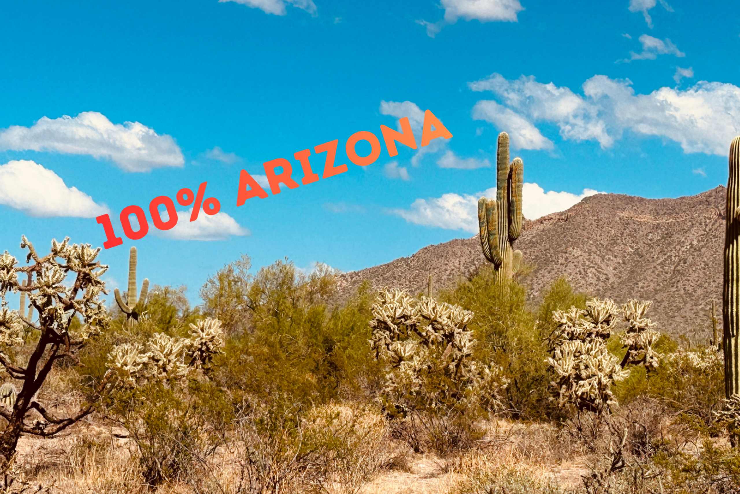 La Route des Cactus de l'Arizona !!!-Voyage à motos en Arizona 3 Route des Cactus scaled